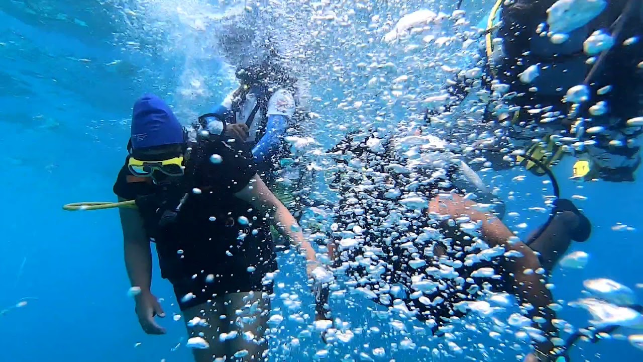 Snorkeling in Lakshadweep - Image 3