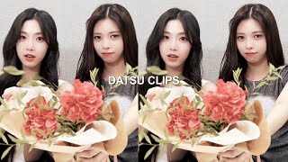 tripleS DaTsu clips (with mega link)