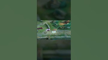 Welcome to the Land of Dawn