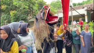 Barongan Ngesti Wargo Budoyo Terbaru Live in Krengseng, Gringsing Batang Babak Siang