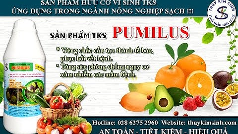 CHẾ PHẨM VI KHUẨN ĐỐI KHÁNG NẤM GÂY BỆNH CÂY TRỒNG| PHỤC HỒI VẾT BỆNH...| Vlog Nông Nghiệp