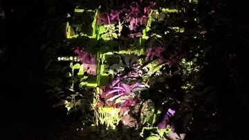 Projection Mapping, heavy M