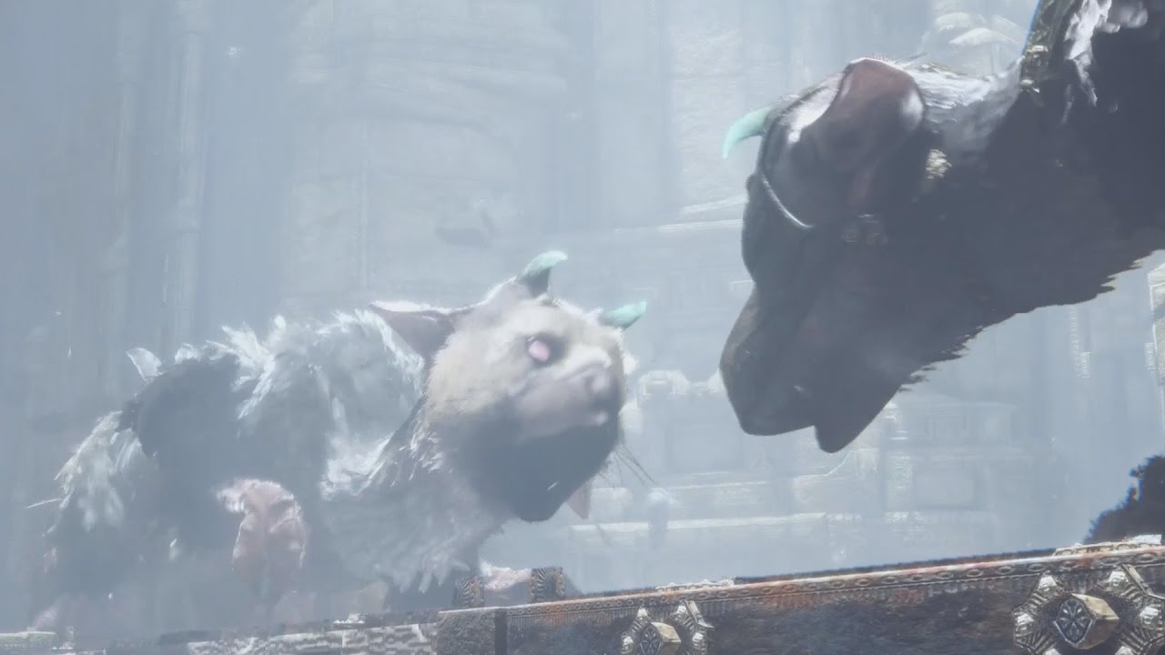 REAL TRICO?!  The Last Guardian 