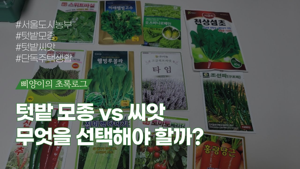 텃밭 모종 vs 씨앗 무엇을 선택해야 할까? 초보자 필수 가이드 - YouTube