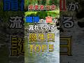 【生まれつき】龍神の血が流れている誕生日TOP5