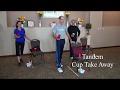 Senior Elderly Easy Fitness Balance Strength Coordination Vestibular Exercise 30 Minute Workout