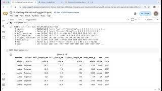 EDA with Palmer Penguins Data Frame in Base R