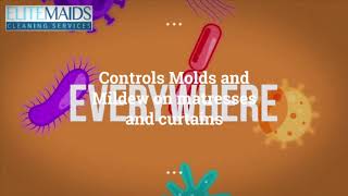Covid-19 Cleaning Service By Elite Maids