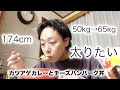 #105　30代ガリガリの増量　韓国風チャプチェ / カツカレ / チーズハンバーグトマト丼