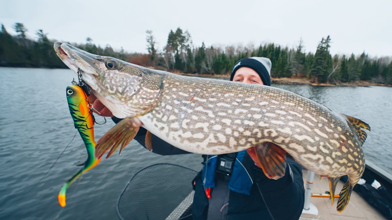 How To CATCH, CLEAN, and COOK Northern Pike. (Ice Out Ontario Pike