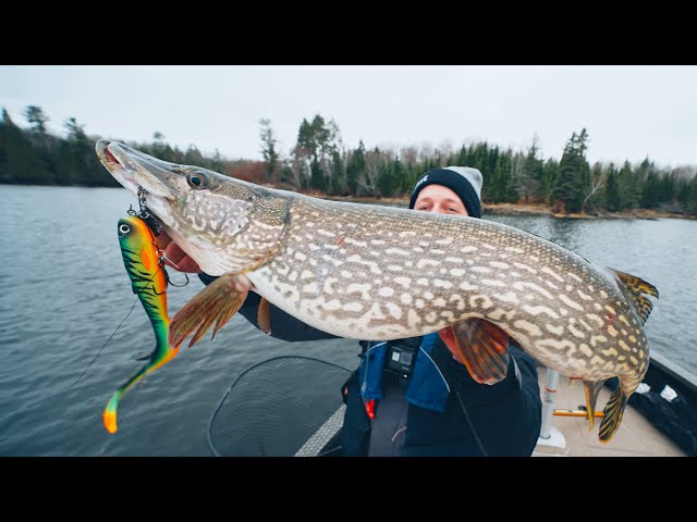 How To CATCH, CLEAN, and COOK Northern Pike. (Ice Out Ontario