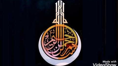 ماتيسر من سورة آل عمران للشيخ اسامه عبدالله هاشم