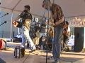 Steve Riley & Mamou Playbloys_"Cajun twist" (Allons à Lafayette)