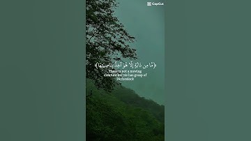 قران كريم ✨🤍 #قرآن #اكسبلور #قران_كريم #لايك #قرآن_كريم #دويتو #قران #funny #راحة_نفسية