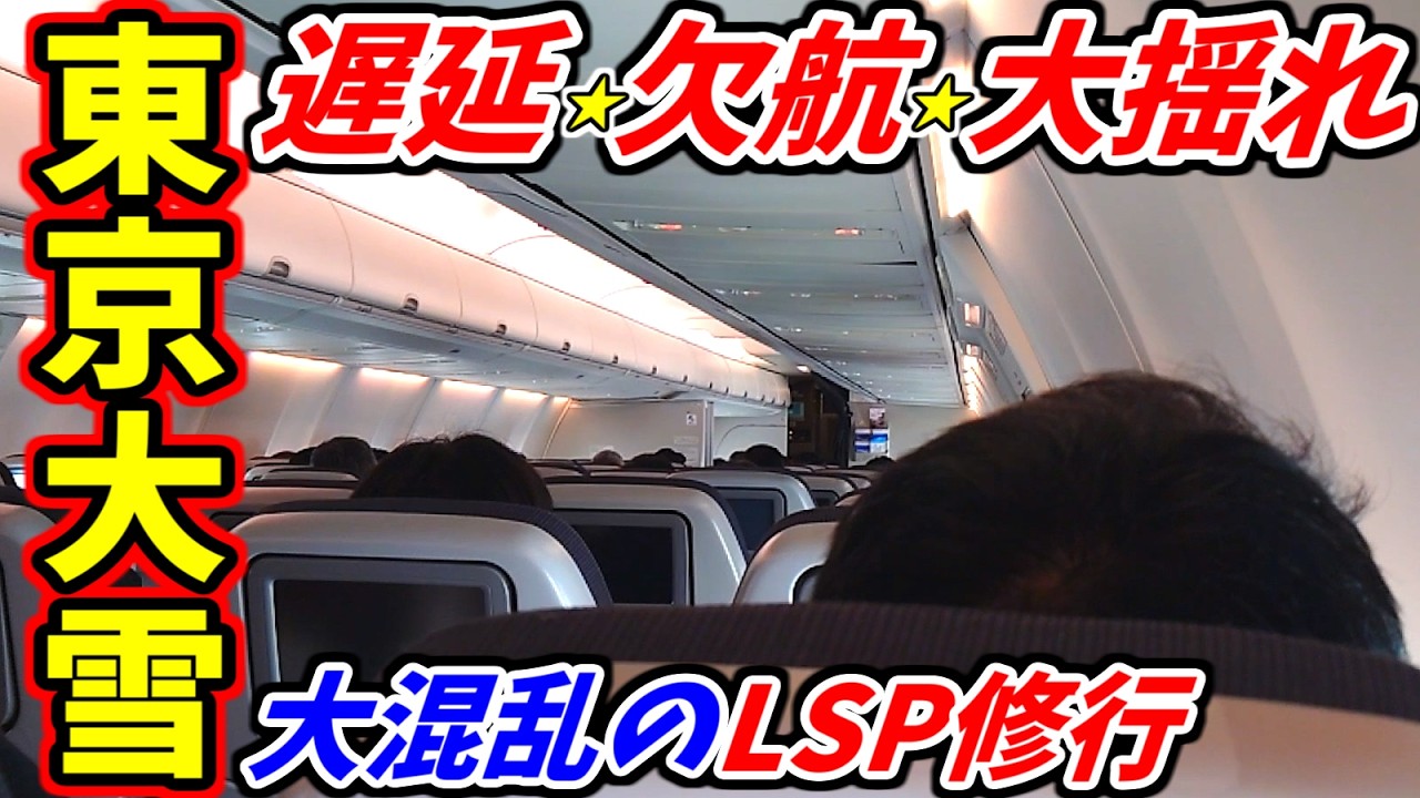 【カオス】東京大雪で大混乱!! 欠航・遅延祭りで