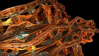 Revisiting The Mandelbulb