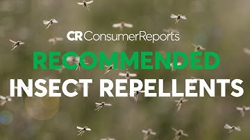 2018 Best Insect Repellents | Consumer Reports