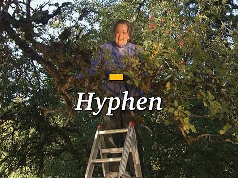 How to Use Hyphens with Compound Words | A Cozy Introduction