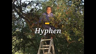 How to Use Hyphens with Compound Words | A Cozy Introduction