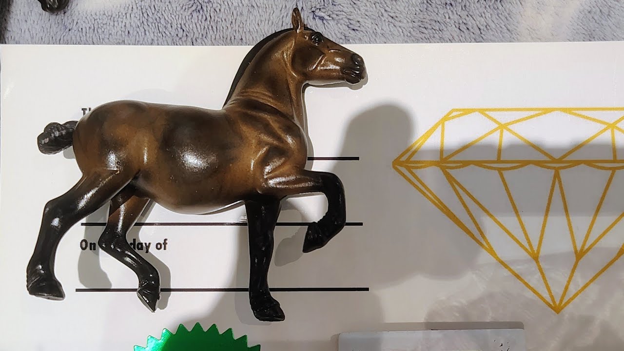 Things to know before you show 