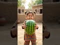 Apo Ne Loya Tarbooz. #apo #funny #aikidsvideos #cute #aicartoons #cutebaby #cutekids #kidboy #fruit