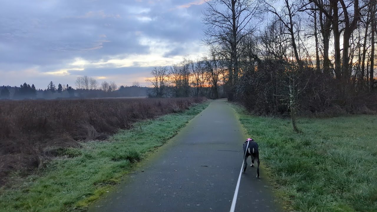 Dog  Walk at Daybreak | Quiet Morning at Champoeg State Park