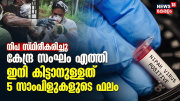 Nipah Virus Kerala | Kozhikode മരിച്ച രണ്ടു പേർക്കും നിപ; ഇനി കിട്ടാനുള്ളത് 5 സാംപിളുകളുടെ ഫലം