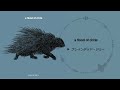ブレインデッド・ジョー - a flood of circle