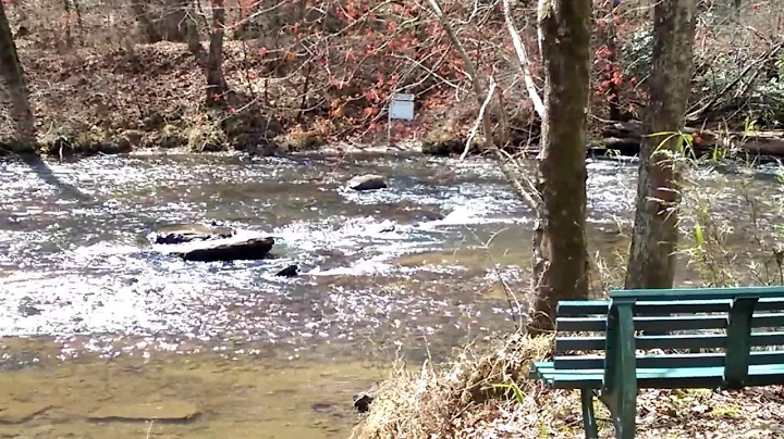 Etowah River Shoals Lumpkin County GA