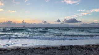 IMG 0114