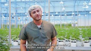 How Do We Hunt for The Best Strains? Pt 1: Hunting