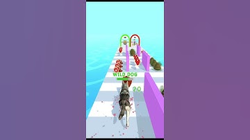 Dog become a monster! (Doggy Run! All Level Gameplay walkthrough For Android And iOS)