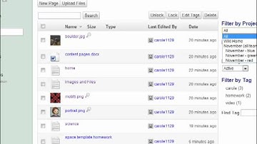 Managing Pages and Files