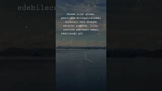 Rüyada Yılan Görmek Ne Anlama Gelir? 🐍