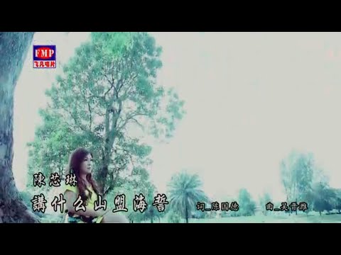 讲什么山盟海誓 (台語) 陈芯琳-伴奏 KARAOKE