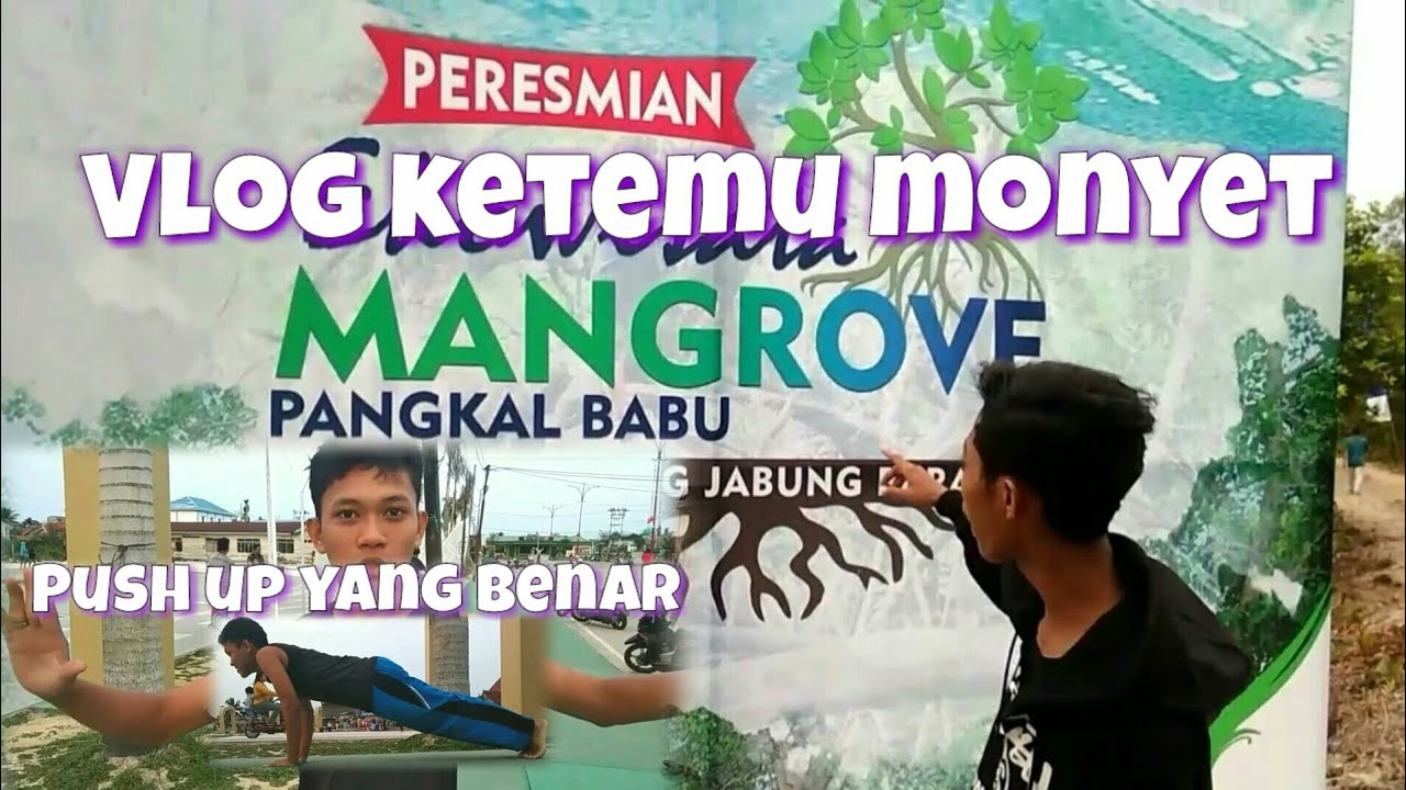 VLOG + CARA PUSH UP | BINJAI TV 