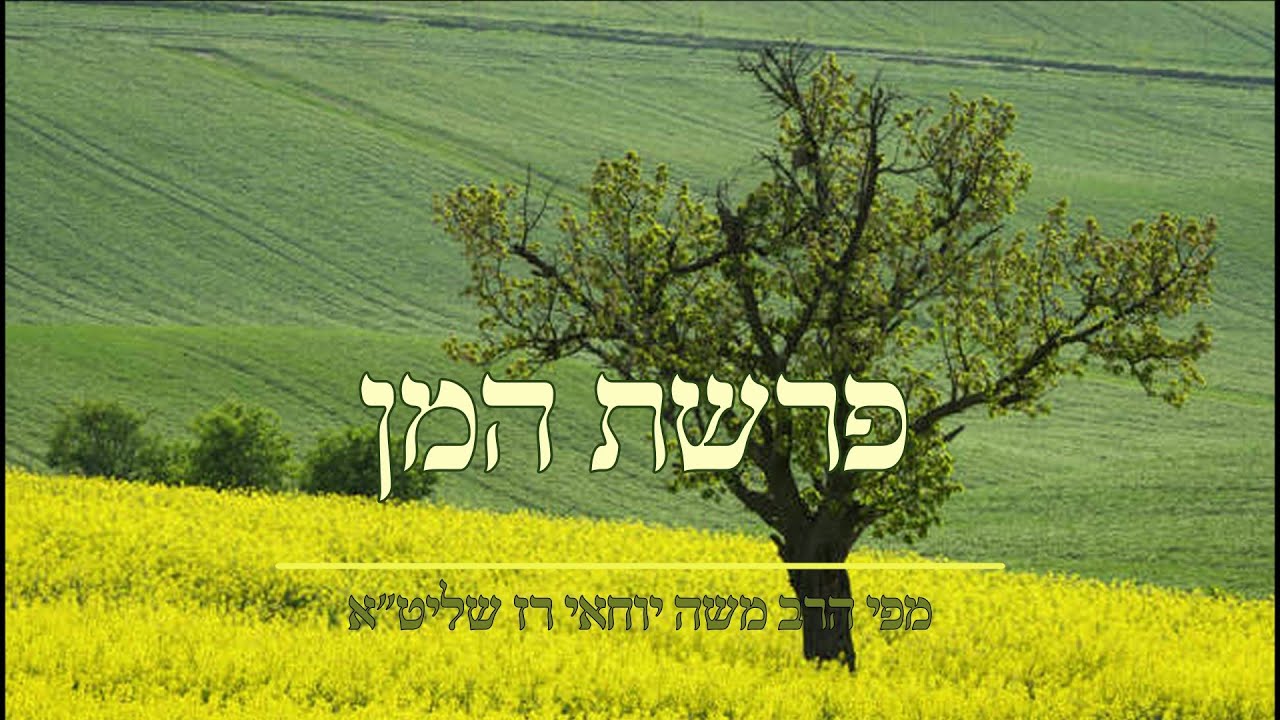 קריאת פרשת המן | סגולה לפרנסה | מפי הרב משה יוחאי רז שליט