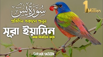 সূরা ইয়াসিন (প্রতিদিন সকালে শুনুন) Surah Yaseen (سورةيس Yasin ) Yasin Sharif Ep05