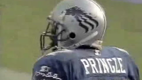 Mike Pringle Montage