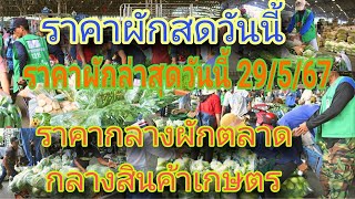 ราคาผักล่าสุดวันนี้ 29/5/2567