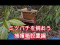 ミツバチを捕まえるために捕獲箱を設置する、とにかく数で勝負！鹿に畑をやられた…【養蜂】