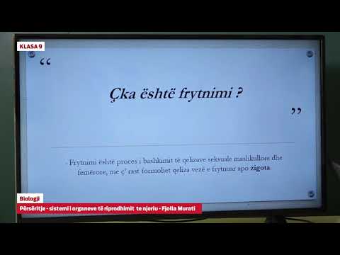 Video: Sa faza qelizore është morula e njeriut?