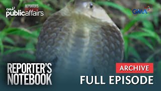 Pagdami ng kaso ng pagkagat ng ahas, paano maiiwasan? (Full Episode) | Reporter’s Notebook