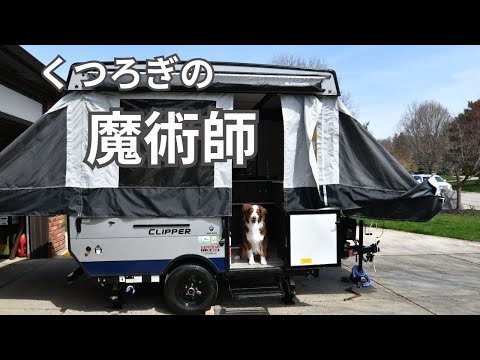 【犬とキャンプ】夢のポップアップキャンピングカー購入｜くつろぎ方を完全マスターする愛犬に密着｜オーストラリアンシェパード