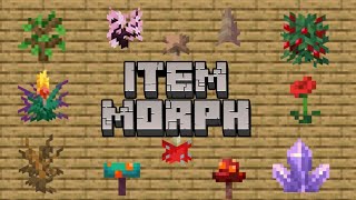 Item Morph Addon For Minecraft PE