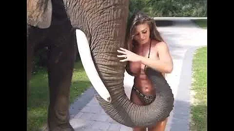 Elephant Grabbing A Girl Breast