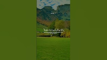 الشيطان يعدكم الفقر | تلاوة خاشعة عبد الرحمن مسعد تهز القلوب 📿💔 #قرآن_كريم