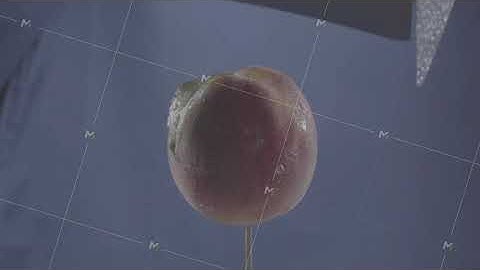 Peach rotating with loop on blue screen for chroma key