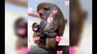 13 මාර්තු 2024