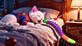 видео: 😲 ОМГ 🐛 Котёнок-ПАУК в большой беде 🌈 История о радужном жуке маленького котёнка картинка: 😲 ОМГ 🐛 Котёнок-ПАУК в большой беде 🌈 История о радужном жуке маленького котёнка